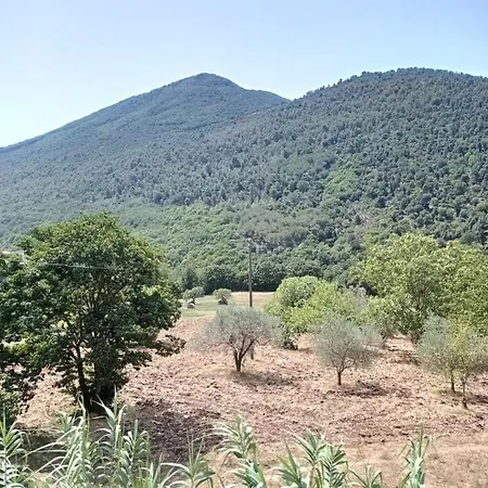 Merus Faicchio